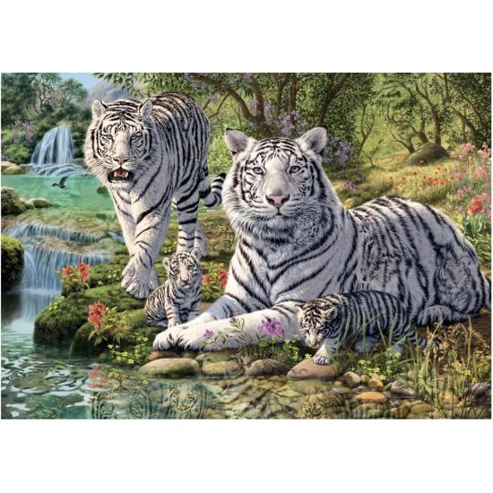 Puzzle Dino Tigres Albinos 1000 Pièces