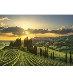 Puzzle Dino Vignoble Maremma XXL 500 pièces