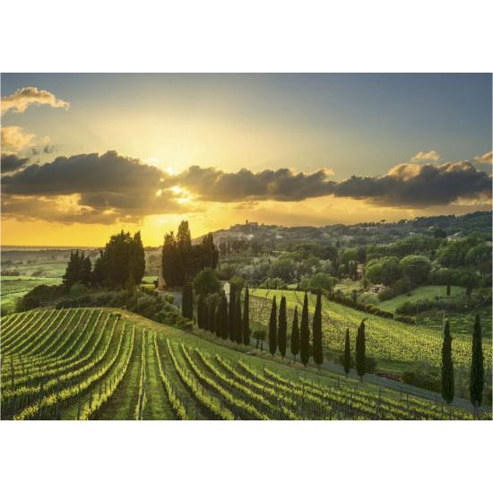 Puzzle Dino Vignoble Maremma XXL 500 pièces