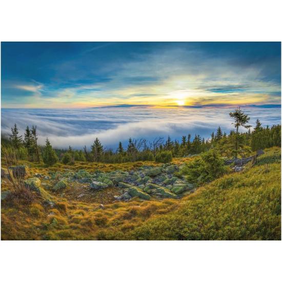 Puzzle Dino Vue Depuis Jested  1000 Pièces