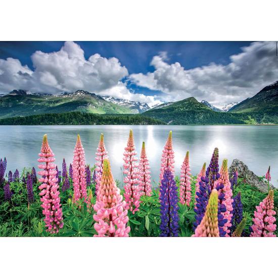 Puzzle Educa Lupins au Bord du Lac de Sils, Suisse 1500 Pza