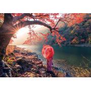 Puzzle Educa Lever de soleil sur la rivière Katsura, Japon 1000