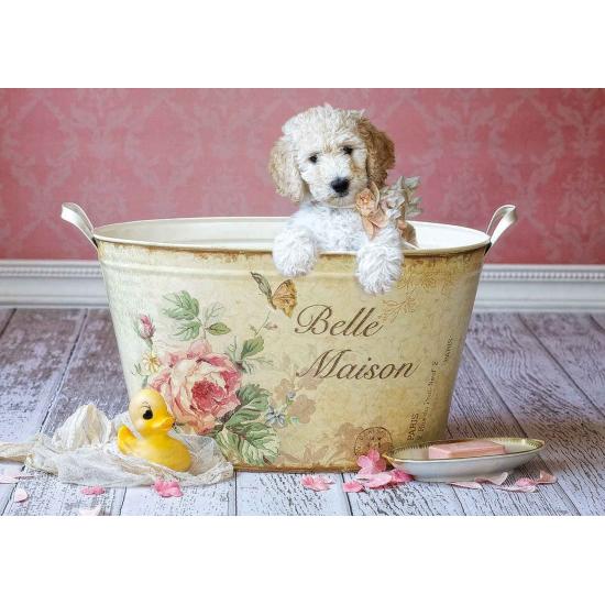 Puzzle 500 pièces Educa Belle Maison