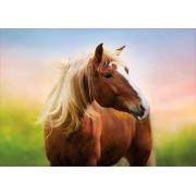 Puzzle Educa Cheval à l'aube 500 pièces