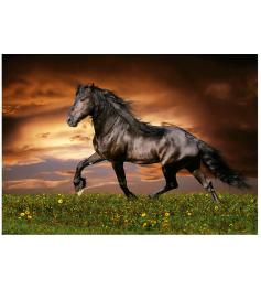 Puzzle Educa Trotteur 1000 pièces