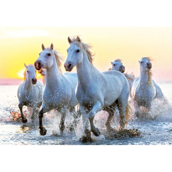 Puzzle Educa Chevaux blancs au coucher du soleil 1000 pièces