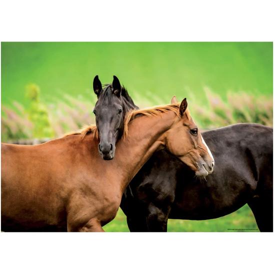 Puzzle Educa Chevaux 200 pièces