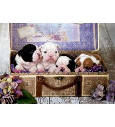 Puzzle Educa Chiots 500 pièces