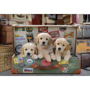 Puzzle Educa Chiots dans la valise 500 pièces