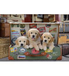 Puzzle Educa Chiots dans la valise 500 pièces