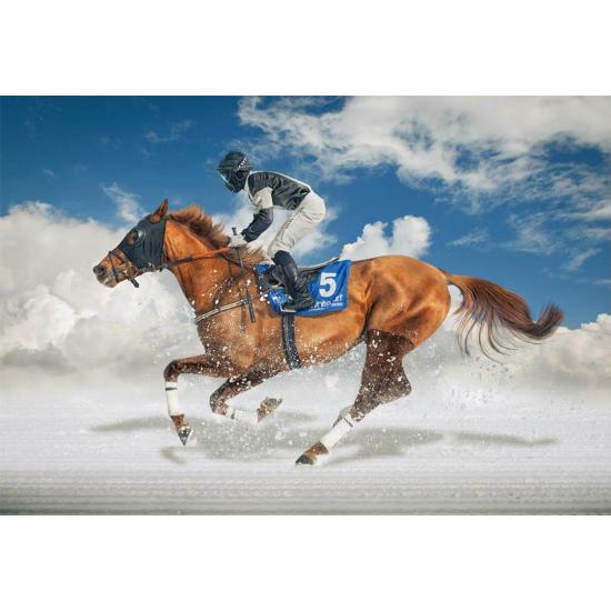 Puzzle Educa Course de chevaux dans la neige 1500 pièces