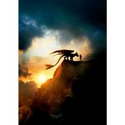 Puzzle Educa How to Train Dragon 1000 pièces