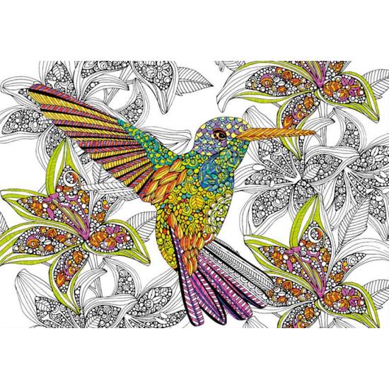 Educa Colibri Colour Me Puzzle 300 pièces