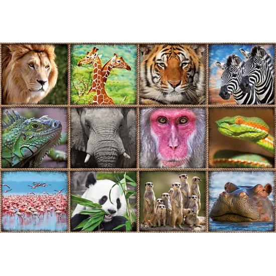 Educa Puzzle Collage d'animaux sauvages 1000 pièces
