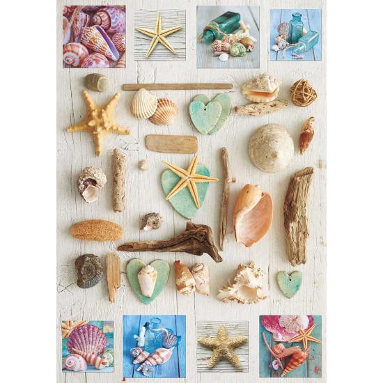 Puzzle Educa Collage de Coquillages 1000 Pièces Puzzle Educa Collage de Coquillages 1000 Pièces