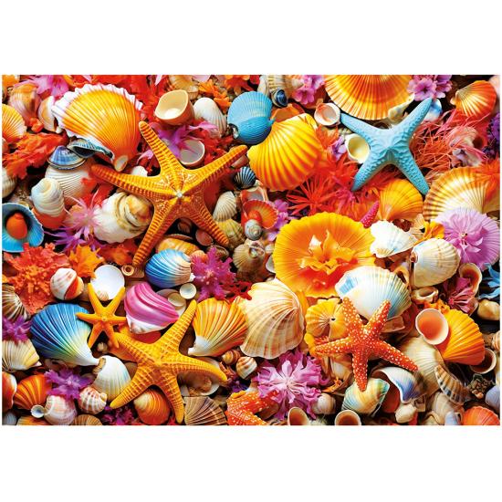 Puzzle collage coquillages Educa, 1000 pièces