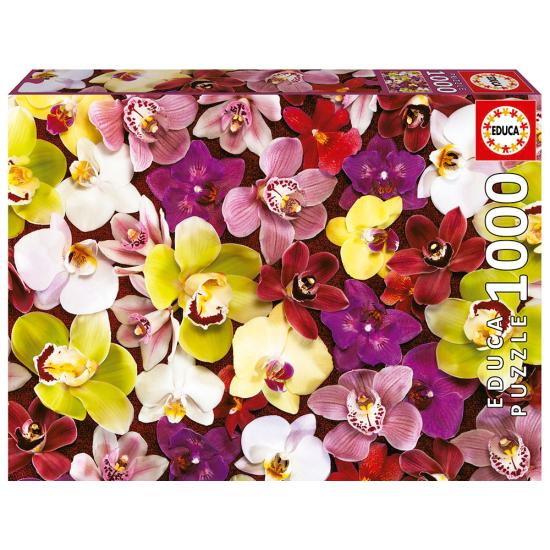 Educa Collage Orchidées Puzzle 1000 pièces