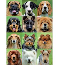 Puzzle Educa Collage de Chiens 500 Pièces
