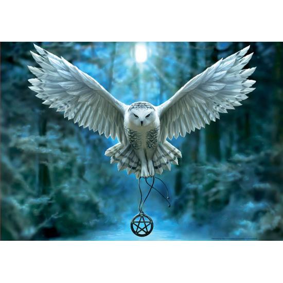 Puzzle Educa Réveille ta Magie de 500 Pièces