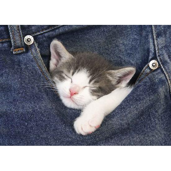 Puzzle Educa Doux Rêves 500 Pièces