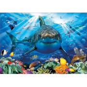 Puzzle Educa Le grand requin blanc 500 pièces