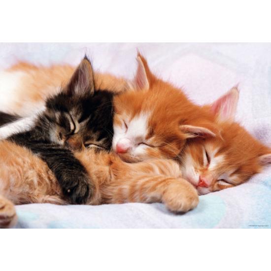 Puzzle Educa Chatons 500 pièces