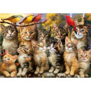 Puzzle Educa Chatons et Oiseaux, 500 pièces