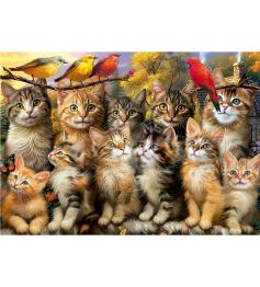 Puzzle Educa Chatons et Oiseaux, 500 pièces