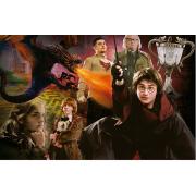 Puzzle Educa Harry Potter Coupe de Feu (P Miniature) 1000P