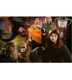 Puzzle Educa Harry Potter Coupe de Feu (P Miniature) 1000P