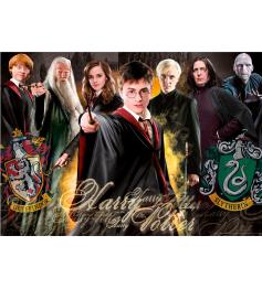 Puzzle Educa Harry Potter 1000 pièces