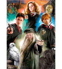 Puzzle Educa Harry Potter 500 pièces