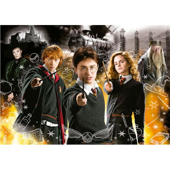 Puzzle Educa Harry Potter Effet Néon 1000 Pièces