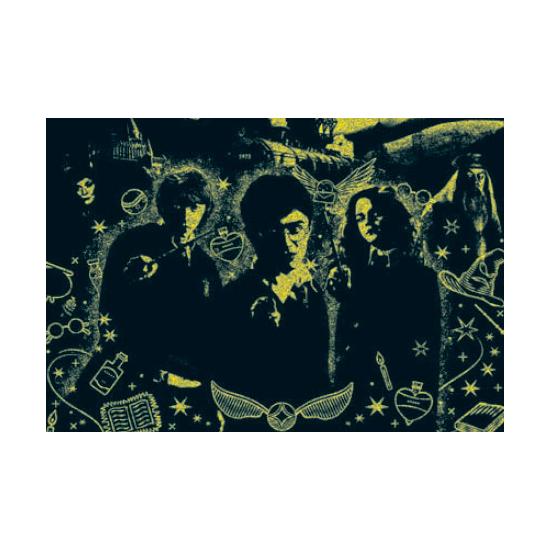 Puzzle Educa Harry Potter Effet Néon 1000 Pièces