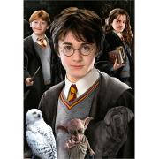 Puzzle Educa Harry Potter (Pièces Miniatures) 1000 Pièces