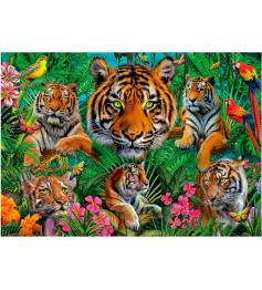 Puzzle Educa Jungle de Tigres 500 pièces