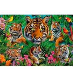 Puzzle Educa Jungle de Tigres 500 pièces