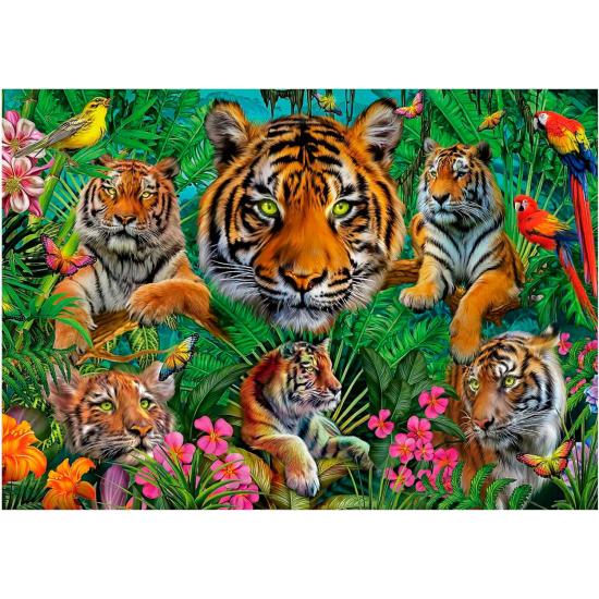 Puzzle Educa Jungle de Tigres 500 pièces