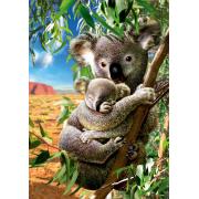 Puzzle Educa Koala avec son petit 500 pièces