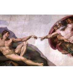 Puzzle Educa La Création D'Adam 1000 pièces