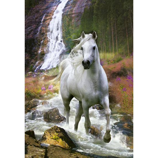 Puzzle Educa Liberté 500 pièces