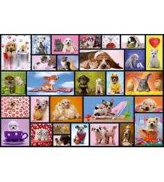 Puzzle Educa Moments Partagés 1000 Pièces