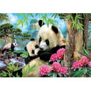 Puzzle Educa Ours Pandas 1000 pièces