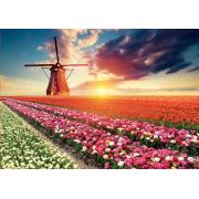 Educa Puzzle Paysage de tulipes 1500 pièces