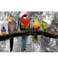 Puzzle Educa Oiseaux dans la jungle 500 pièces