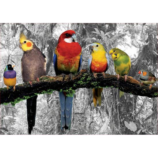 Puzzle Educa Oiseaux dans la jungle 500 pièces