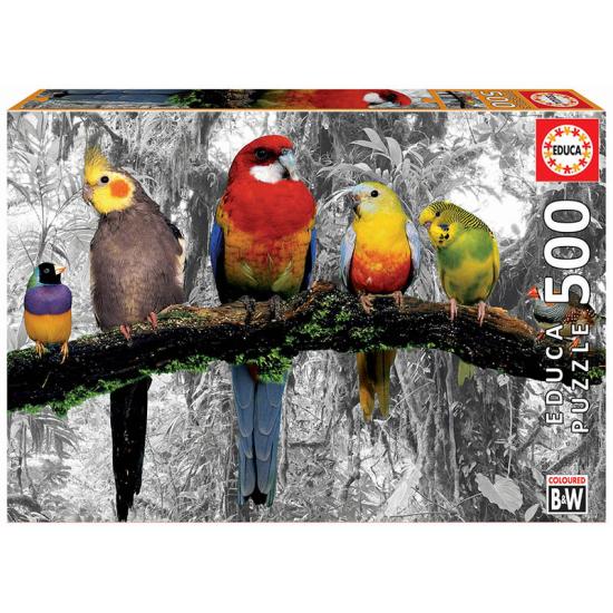 Puzzle Educa Oiseaux dans la jungle 500 pièces