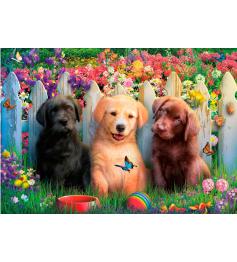 Puzzle Educa Chiots 100 pièces