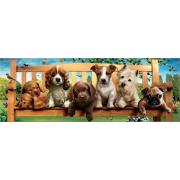 Educa Perritos dans le banc Panorama Puzzle 1000 mcx