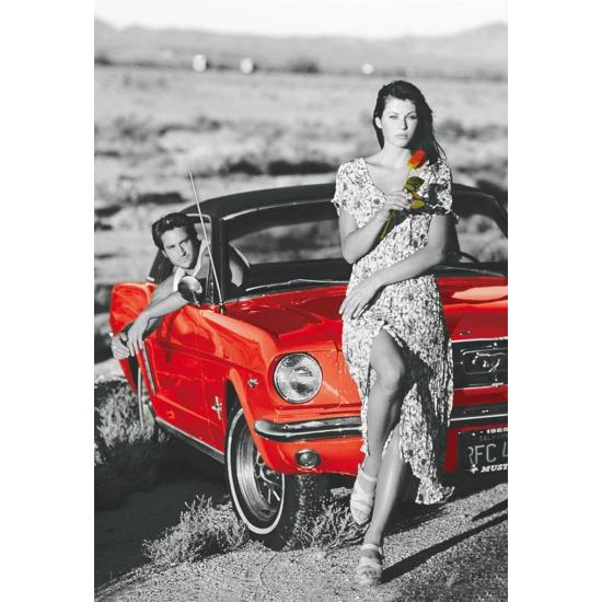 Puzzle Educa Romance dans le Champ de 1000 Pièces